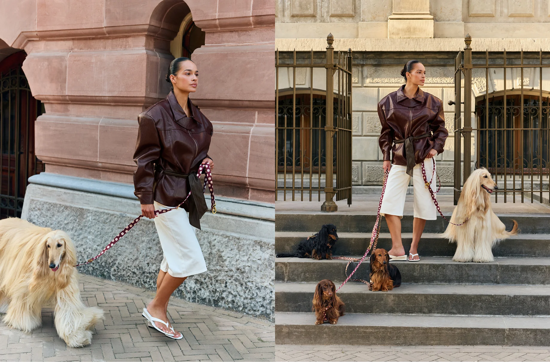 Unleash Your Dog's Vibrant Style